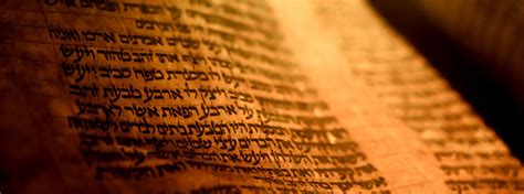 Open Torah scroll spanning the lower half of the homepage banner